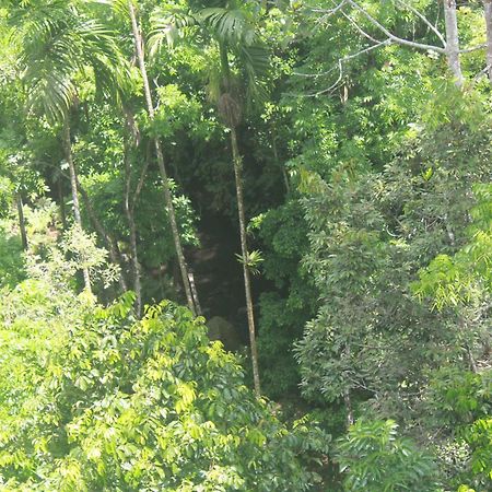 L'Javas Villas Kalibendo ภายนอก รูปภาพ